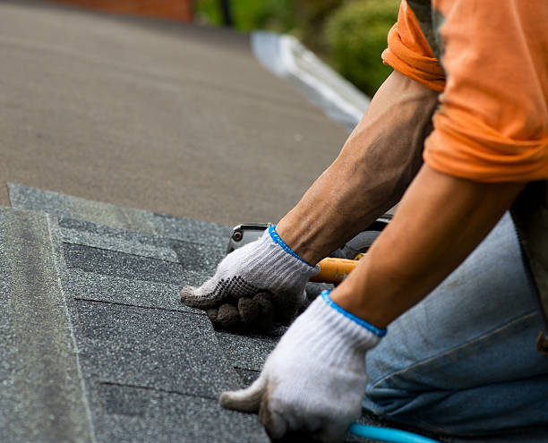 Best Best Roofing Contractors  in Charlotte, MI