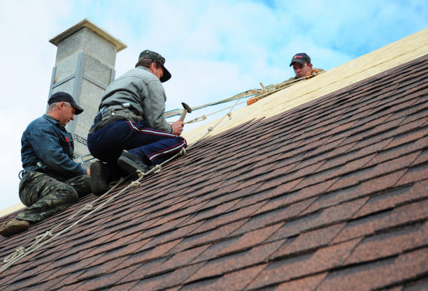 Best Shingle Roofing Installation  in Charlotte, MI